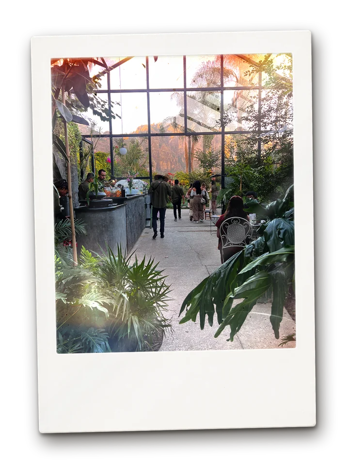 Margarita Concept, a glass-walled greenhouse restaurant surrounded by plants